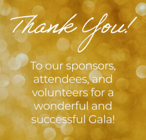 thank you  to our sponsors, attendees, and volunteers for a wonderful and successful Gala