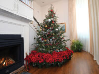 Annual Christmas Gala