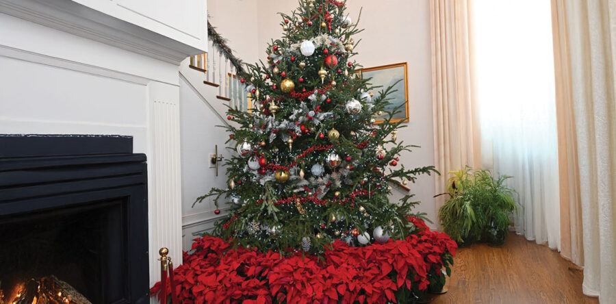 Annual Christmas Gala