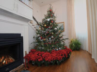 Annual Christmas Gala 2026